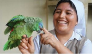 Sr Cecelia teaches children about looking after creation