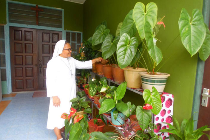 Laudato Si’: Missionaries in Malaysia lead the way