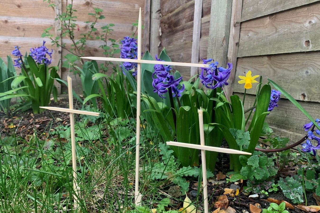 Lent Through a Lens: thank you for inspiring us!