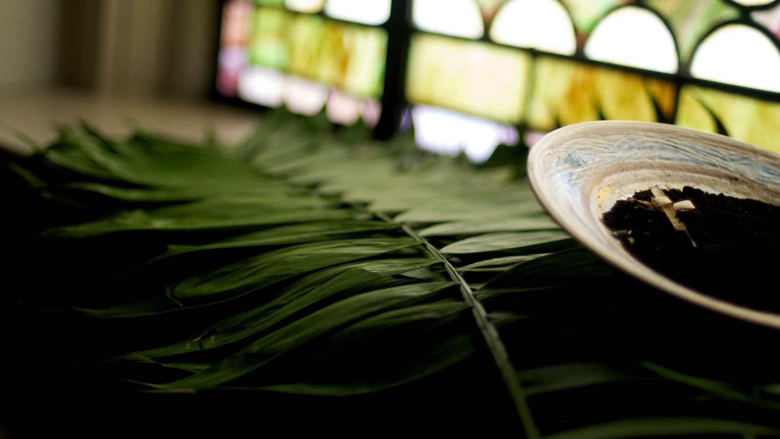 Fr Anthony’s blog: looking forward to Lent with hope