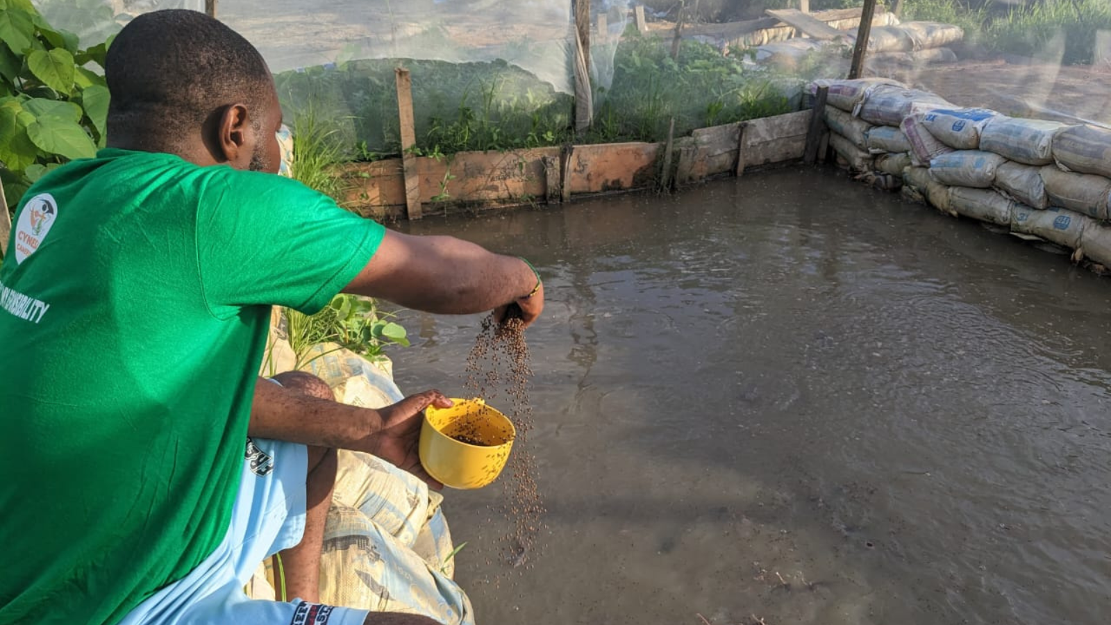 Laudato Si’: ‘A divine responsibility’