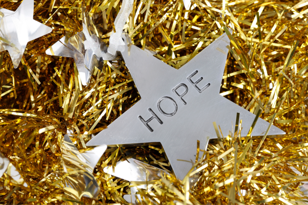Hope nestled in Christmas decorations