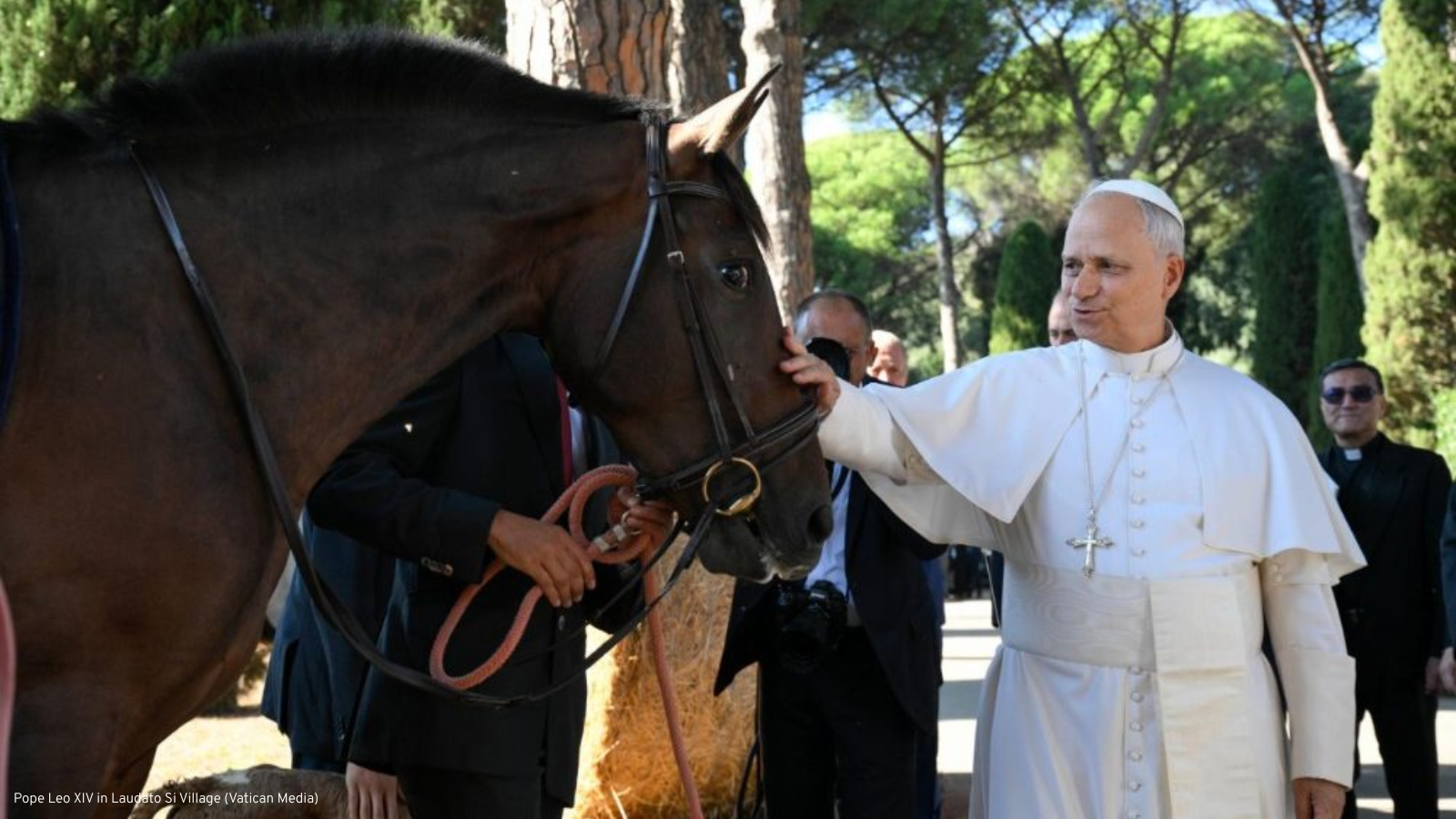 Mission Rosary: Missionaries for Creation